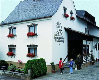 Pension Waldesruh Welschneudorf Extérieur photo